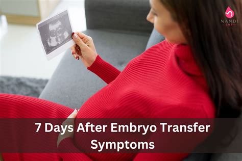 7 Days After Embryo Transfer Symptoms | Nandi IVF - 2024