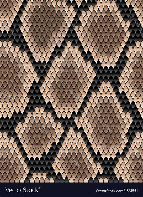 Seamless pattern of snake skin Royalty Free Vector Image