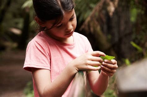 Junior Rangers enjoy natural playgrounds - Andrea Rowe