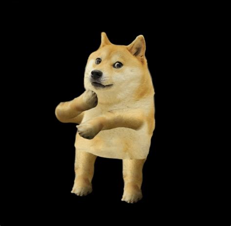 Doge GIFs - Find & Share on GIPHY