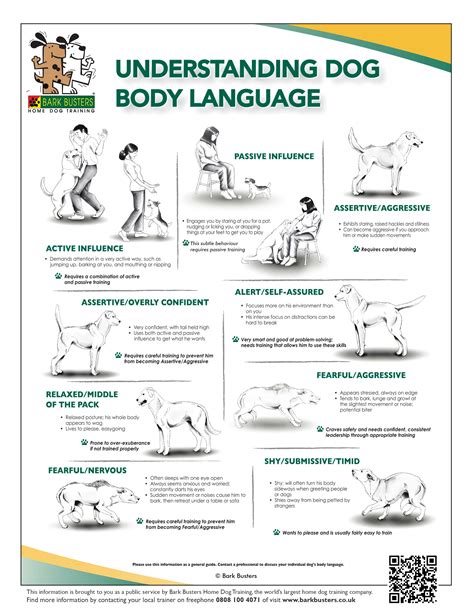 Printable Dog Body Language Chart - Printable Word Searches