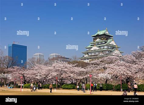 Osaka Castle and cherry blossoms Stock Photo - Alamy