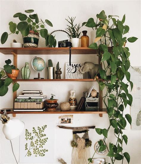 Plant shelf. | Aesthetic room decor, Cozy room decor, Decor