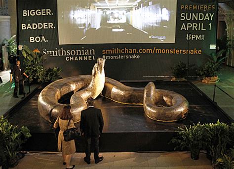 LOOK: Titanoboa, World's Biggest Snake, Coming To Smithsonian | HuffPost