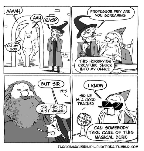 Accio: 40 Harry Potter Comics and Memes - Memebase - Funny Memes