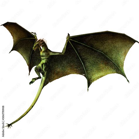 green dragon flying dragon dragon attack fantasy creature mythological animal Stock Illustration ...