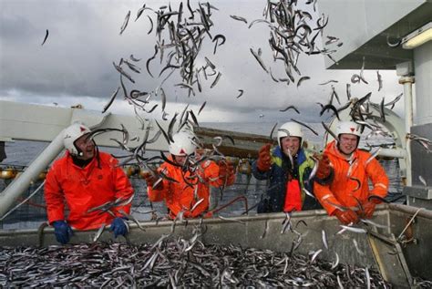 ICELANDIC FISHING INDUSTRY – Icelandic Times