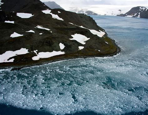 Antarctica: Ice age the frozen world | Antarctica: Ice age the frozen world | Pictures | Pics ...