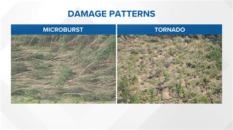 Microburst causes extensive damage in Belgrade area Wednesday ...