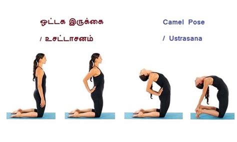 இந்த ஆசனம் செய்தால் மார்பு விரிவடையும் | Camel Pose Ustrasana Ustrasana ...