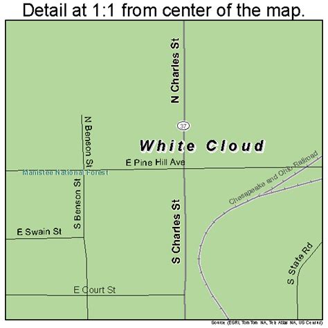 White Cloud Michigan Street Map 2686680