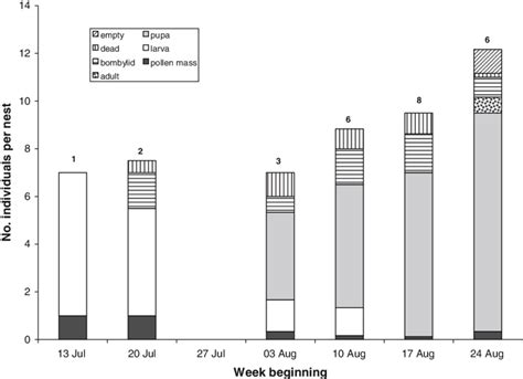 Developmental stages of brood in excavated nests. Note that the first ...