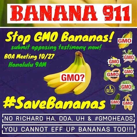 Say No To GMO Bananas in Hawaii & Biopiracy News - Seed Freedom