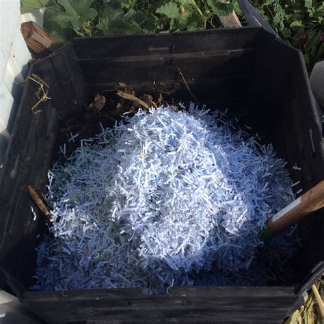 compost-with-shredded-paper – The Wealthy Earth