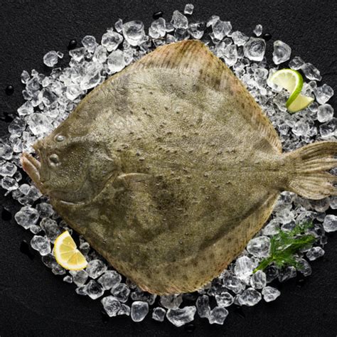 Turbot: A Comprehensive Guide to this Delicious Flatfish