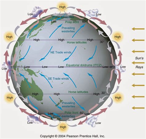 Wind cells | การศึกษา