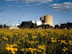 Prairie Island Nuclear Plant Uprate On Hold - News - Nuclear Power News ...