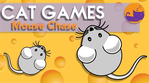 Cat Games - Mouse Catch - Mice Chase Entertainment for Cats! - YouTube