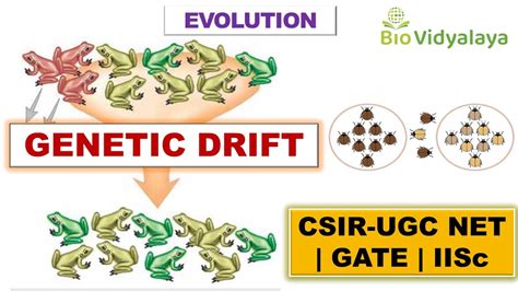 Genetic Drift