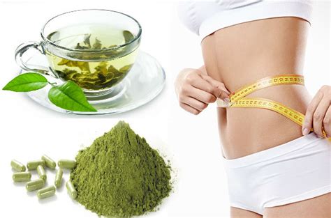 How Moringa Works For Weight Loss - Living Gossip