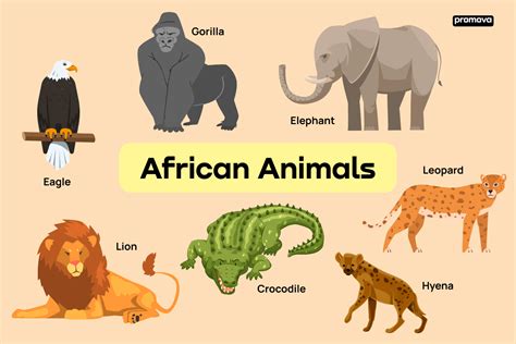 African Animals And Madagascar Animals Vocabulary