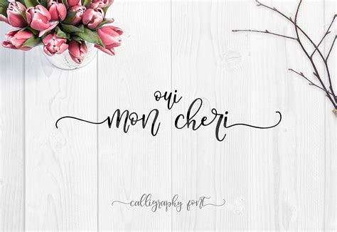 Oui, Mon Cheri is a calligraphic font that includes: - Lowecase and ...