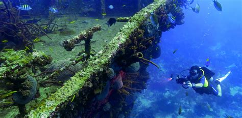 Explore the Wrecks of Aruba | When in Aruba