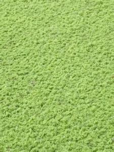 Azolla Benefits For Animals: Nutritional content and potential as a livestock feed - May 2024