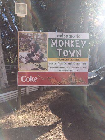 Monkey Town Primate Centre (Somerset West) - All You Need to Know ...