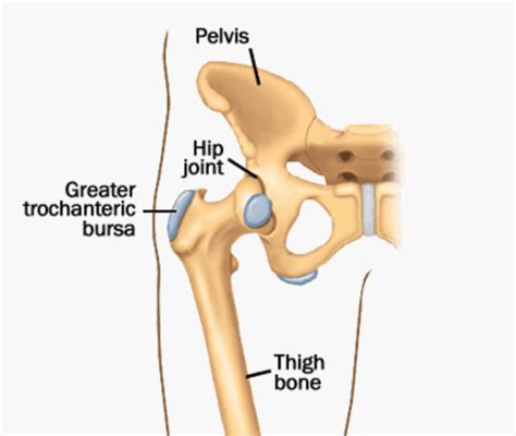 Greater Trochanter