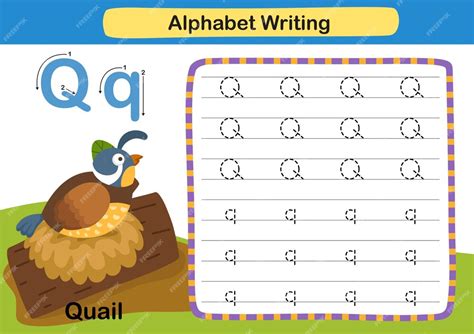 Premium Vector | Alphabet Letter exercise Q Quail with cartoon ...