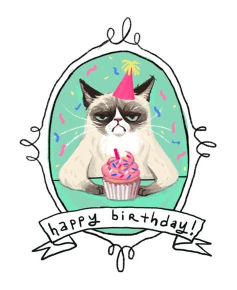 Happy Birthday angry cat. | Grumpy cat birthday, Happy birthday ...