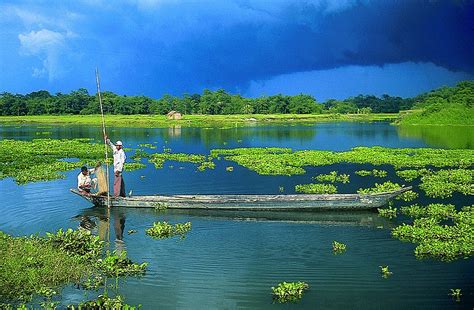 800px-Majuli_Island | Guidester