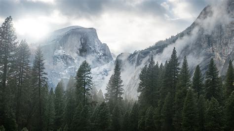 Wallpaper : sunlight, landscape, nature, snow, winter, morning, mist, Yosemite National Park ...