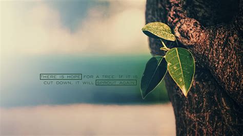 There is Hope! | Christian Wallpapers