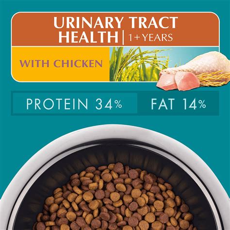 Buy Purina One Adult Urinary Tract Health Chicken Dry Cat Food Online | Better Prices At Pet Circle