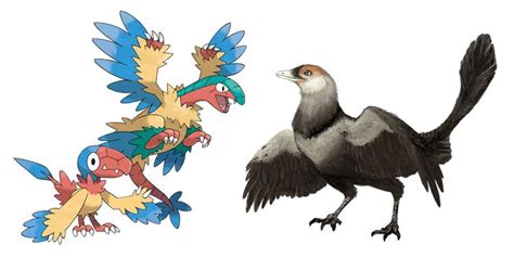 Archen and Archeops: Archaeopteryx | Fossil pokemon, Bird pokemon, Pokemon