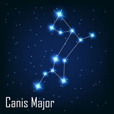 Canis Major definition and meaning | Collins English Dictionary