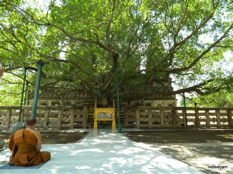 Top10 Astonishing Facts About Mahabodhi Temple - Discover Walks Blog