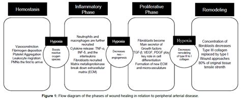 vascular-medicine-surgery-wound-healing-peripheral