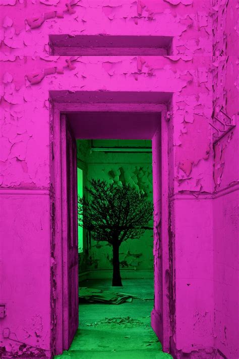 Neon Green And Pink Aesthetic Background - destiny-jdb-fanfiction