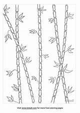 Free Bamboo Coloring Page  Printables Kidadl sketch template