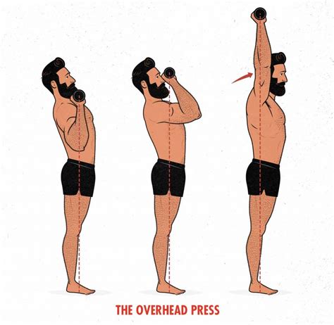 The Overhead Press Guide (for Size) – Outlift