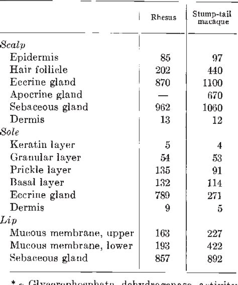 Table I from Quantitative histochemistry of the primate skin. IV. alpha-Glycerophosphate ...