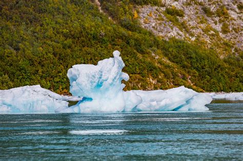 McBride Glacier Kayaking Day Trip | Glacier Bay Kayaking Tours