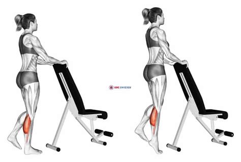 Standing Single Leg Calf Raise with Support (female) - Home Gym Review