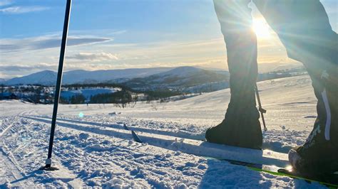 Dovrefjell throughout the year - Dovrefjell-Sunndalsfjella nasjonalpark