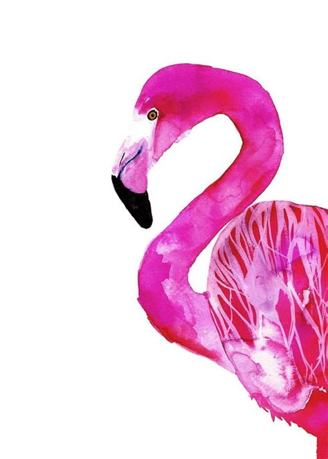 Flamingo - Illustration | Flamingo art, Flamingo art print, Affordable art prints