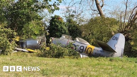 Vintage Royal Navy plane crashes into tree