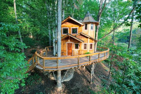 Eva Greene Rentals - Tree House, Tree Houses, Asheville, United States of America | Glamping Hub